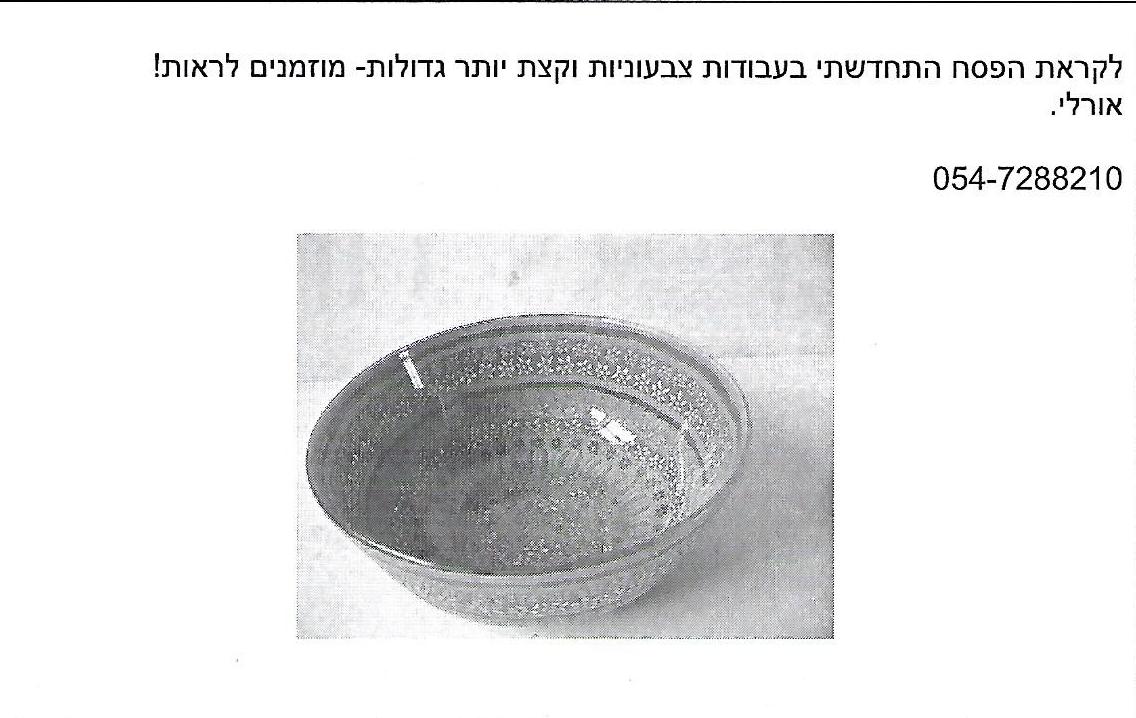 עסקים רבינוביץ 2007